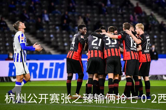 杭州公开赛张之臻输俩抢七 0-2西里奇收获亚军